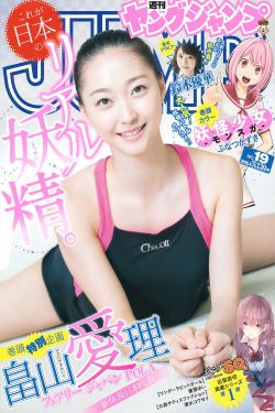皇家国教骑士团ova